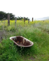 Photo of old bath tub at Sarbones / Garapata Park, Big Sur, by Linda A. Levy