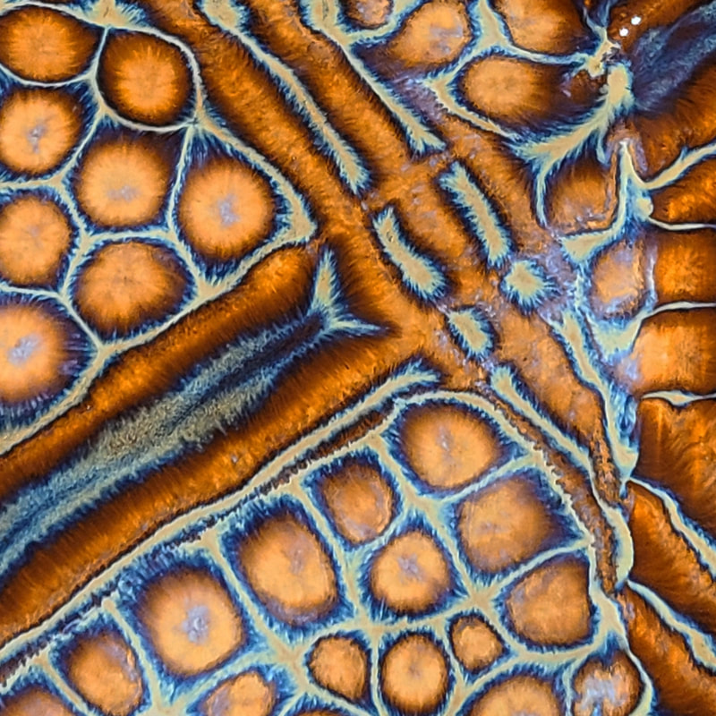 Detail of Ceramic plate glaze experiment, Linda Levy, LA Levy, Santa Cruz, California, Artist